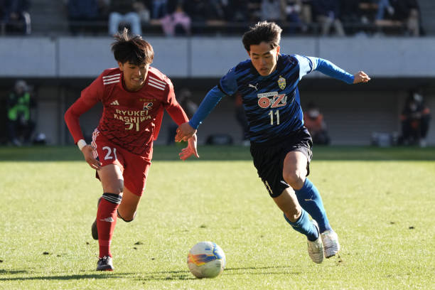 维特塞尔的 维特塞尔的